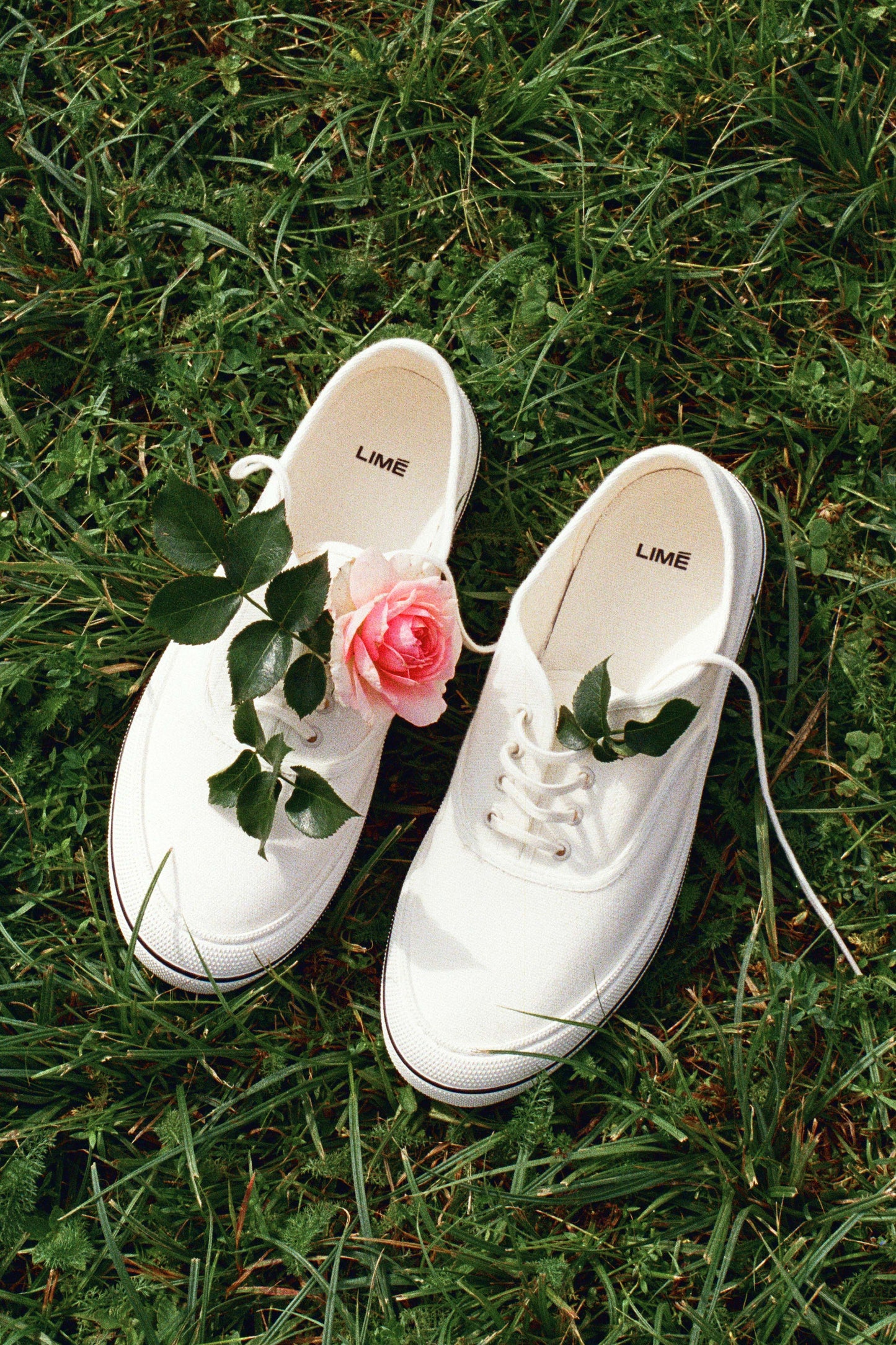 COTTON CANVAS SNEAKERS