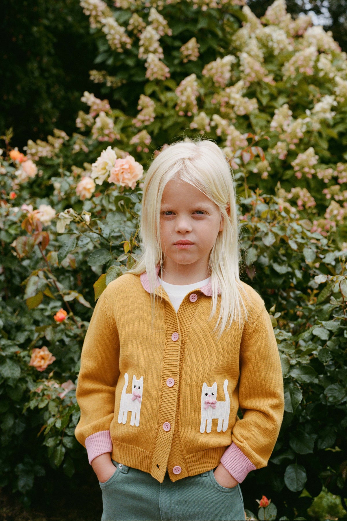 OCHRE