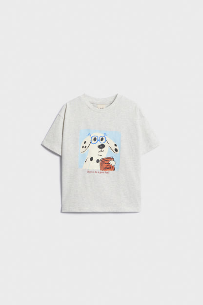 LIGHT GREY MELANGE